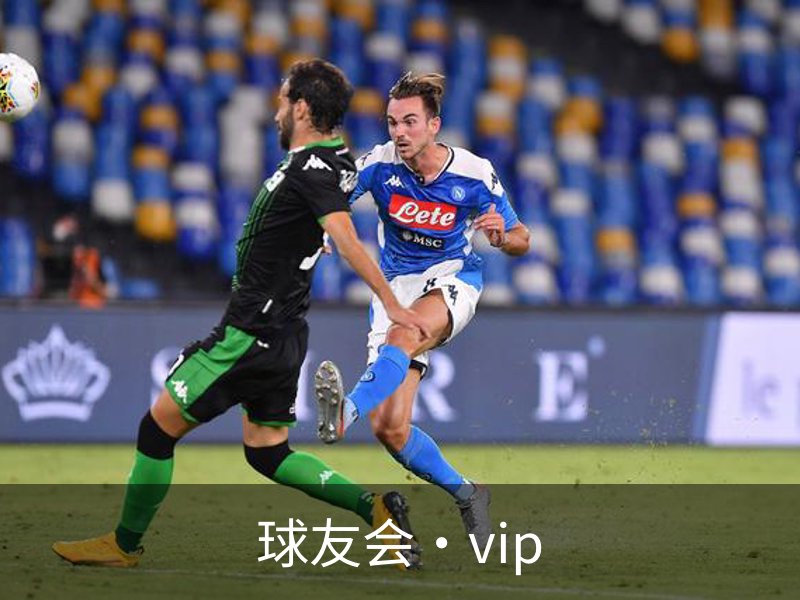 球友会·vip概况